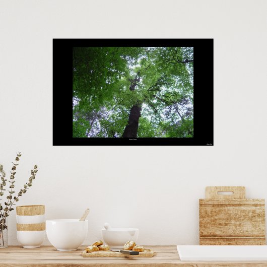 Ramsey Canopy Poster (Keuken)