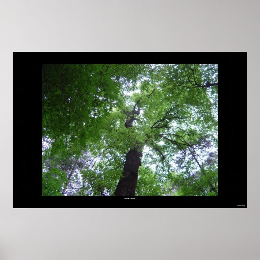 Ramsey Canopy Poster (Voorkant)