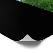 Ramsey Canopy Poster (Hoek)