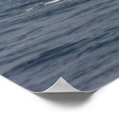 Rana (D 52) Poster (Hoek)