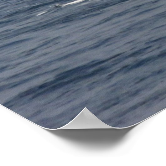 Rana (D 52) Poster (Hoek)