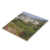 Ranakpur Jain Temple, Ranakpur, Rajasthan, India Tegeltje (Zijkant)