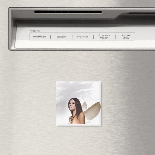 "Ranata" Guardian Magnet (Insitu (Vaatwasser))