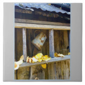 Ranch Can Tegeltje (Voorkant)