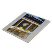 Ranch Can Tegeltje (Zijkant)