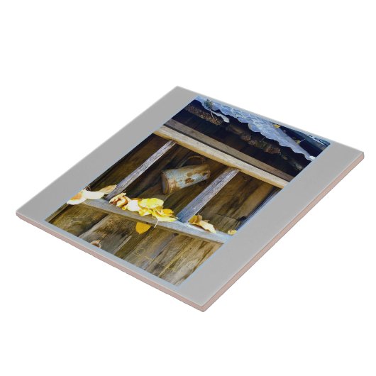 Ranch Can Tegeltje (Zijkant)