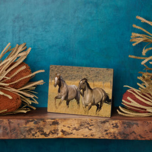 Ranch die woont bij de Ponderosa Ranch Fotoplaat