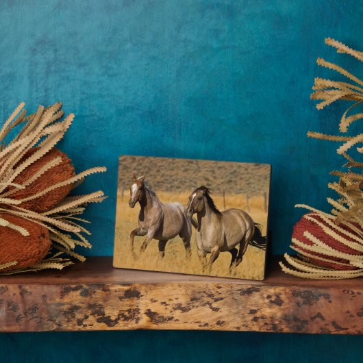 Ranch die woont bij de Ponderosa Ranch Fotoplaat (Zijkant)