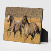 Ranch die woont bij de Ponderosa Ranch Fotoplaat (Zijkant)