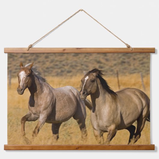 Ranch die woont bij de Ponderosa Ranch Hangend Wandkleed (Voorkant)