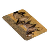 Ranch die woont bij de Ponderosa Ranch Magneet (Rechterzijde)