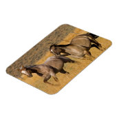 Ranch die woont bij de Ponderosa Ranch Magneet (Linkerzijde)