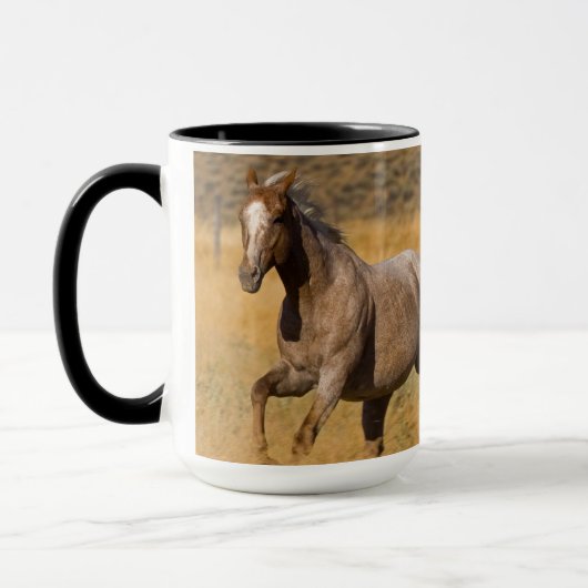 Ranch die woont bij de Ponderosa Ranch Mok (Links)