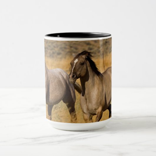 Ranch die woont bij de Ponderosa Ranch Mok (Midden)