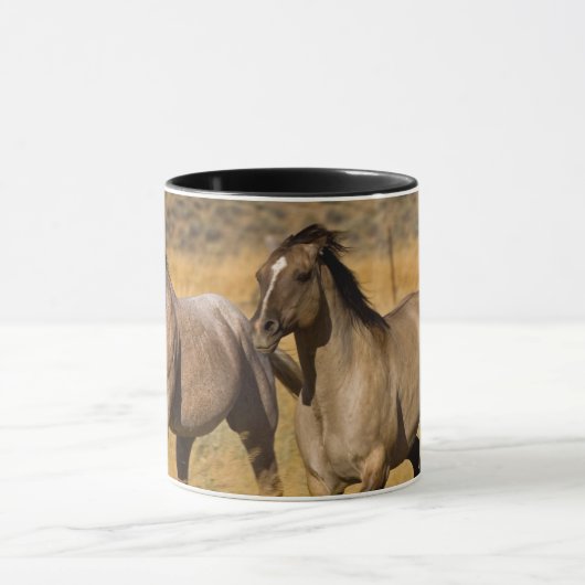 Ranch die woont bij de Ponderosa Ranch Mok (Midden)