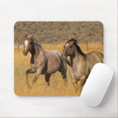 Ranch die woont bij de Ponderosa Ranch Muismat (Met muis)