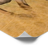 Ranch die woont bij de Ponderosa Ranch Poster (Hoek)