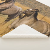 Ranch die woont bij de Ponderosa Ranch Sherpa Deken (3/4)