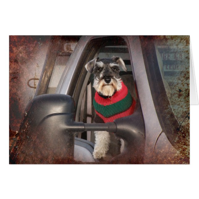 Ranch Dog (Voorkant Horizontaal)