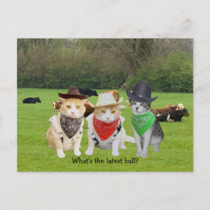 Ranch Hand - werkende katten Briefkaart