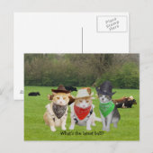 Ranch Hand - werkende katten Briefkaart (Voorkant / Achterkant)