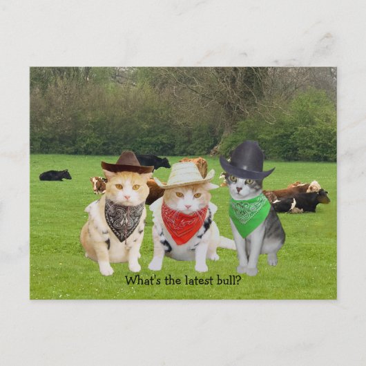 Ranch Hand - werkende katten Briefkaart (Voorkant)