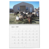 Ranch Life bij Blackman Ranch Kalender (Mar 2027)