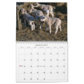 Ranch Life Calendar Kalender (Mar 2027)