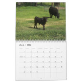 Ranch Life - Cattle Kalender (Mar 2026)