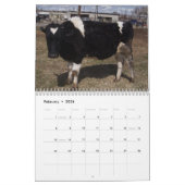 Ranch Life - Cattle Kalender (Feb 2026)