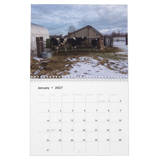 Ranch Life - Cattle Kalender (Jan 2027)