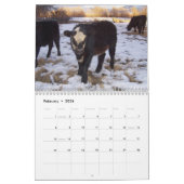 Ranch Life - Cattle Kalender (Feb 2026)