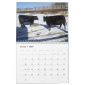 Ranch Life - Cattle Kalender (Jan 2027)