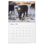 Ranch Life - Cattle Kalender (Feb 2027)