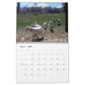 Ranch Life Kalender (Mar 2027)