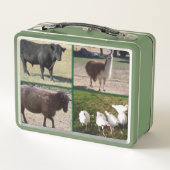 Ranch Life, vee (Achterkant)