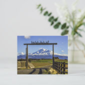 RANCH UITZICHT VAN SHASTA BRIEFKAART (Staand voorkant)