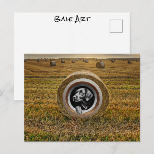 Ranchers Boerenhond in hooiland ronde baal kunst Briefkaart