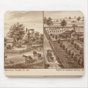 Ranches, stallen, Tulare Co., Cal Muismat