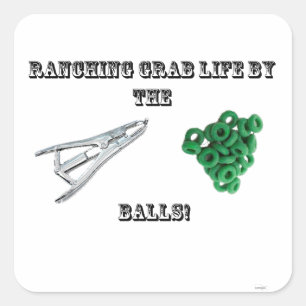 Ranching grijp leven door balls sticker