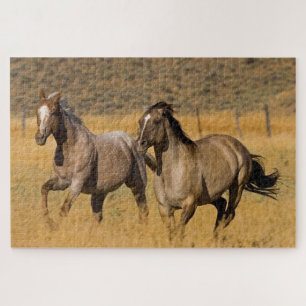 Ranchleven bij The Ponderosa Ranch Legpuzzel