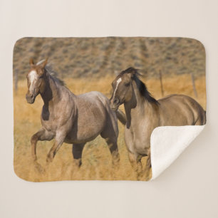 Ranchleven bij The Ponderosa Ranch Sherpa Deken