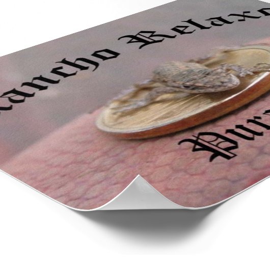 Rancho Relaxo... Pura Vida Poster (Hoek)