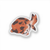 Ranchu goldfish sticker (Voorkant)