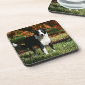 Rand Collie Autumn Standing Bier Onderzetter (Linkerzijde)