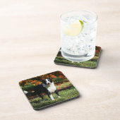 Rand Collie Autumn Standing Bier Onderzetter (Rechterzijde)