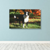 Rand Collie Autumn Standing Canvas Afdruk (Insitu (Houten vloer))