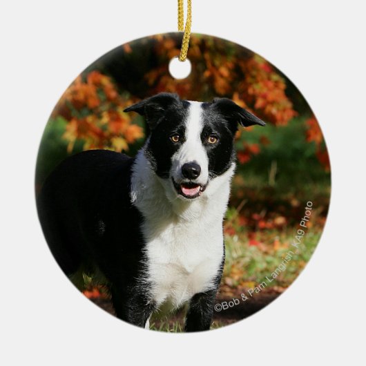 Rand Collie Autumn Standing Keramisch Ornament (Voorkant)