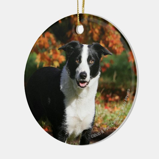 Rand Collie Autumn Standing Keramisch Ornament (Links)