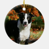 Rand Collie Autumn Standing Keramisch Ornament (Achterkant)